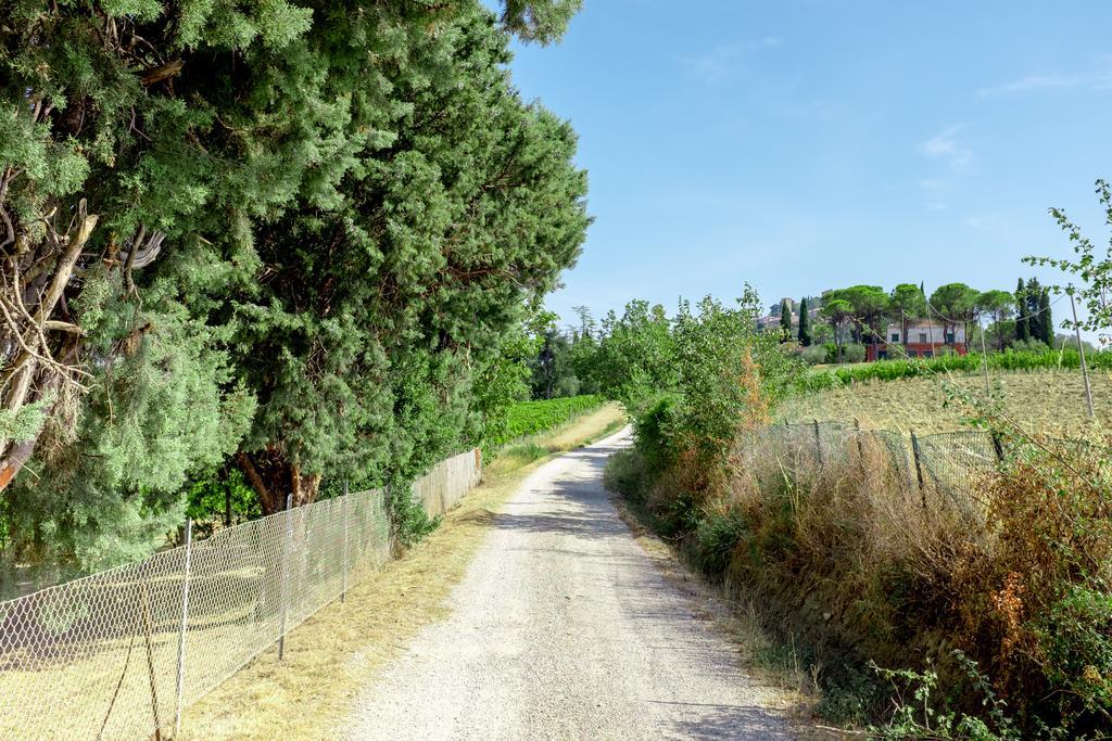 Il Vigneto Cottage แบร์ตินอโร ภายนอก รูปภาพ