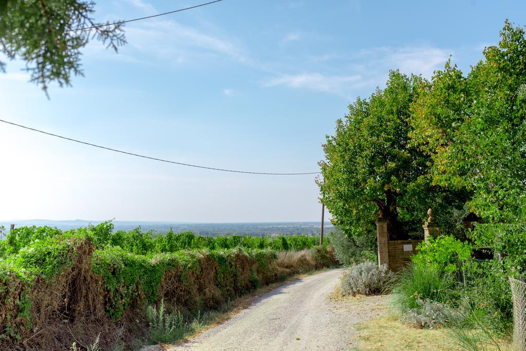 Il Vigneto Cottage แบร์ตินอโร ภายนอก รูปภาพ